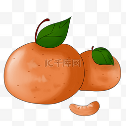 红色的橘子手绘插画