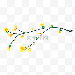 春季植物花卉插画图片_春季黄色迎春花插画