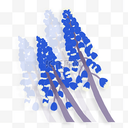 蓝色花朵PNG素材