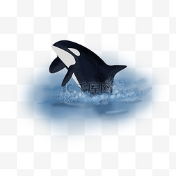 海洋世界气泡素材图片_世界海洋日可爱鲸鱼
