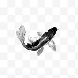 动物矢量装饰素材图片_水墨画矢量一只鲤鱼