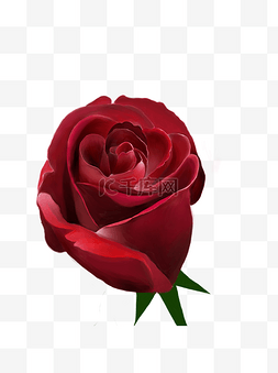 朵玫瑰手绘图片_玫瑰花红色玫瑰手绘玫瑰浪漫