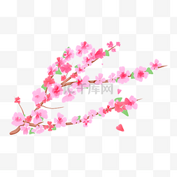 粉色的桃花花枝