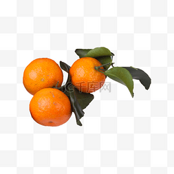 砂糖橘水果 