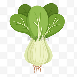 新鲜的绿色蔬菜图片_卡通绿色油菜插画