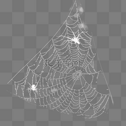 织网的蜘蛛效果元素设计