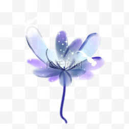 蓝紫色小花 