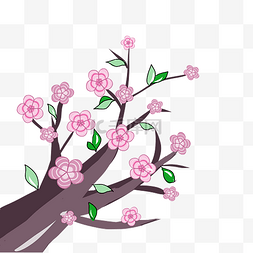 盛开的粉色樱花插画