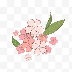 粉色樱花花瓣插画