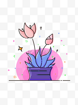  粉色花朵植物 
