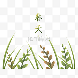 春天大自然绿植迎春