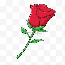 玫瑰插画图片_美丽的玫瑰花插画