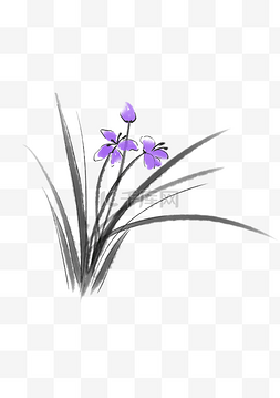紫色的水墨图片_紫色的水墨兰花插画