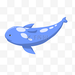 游泳的蓝色鲸鱼