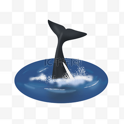 世界海洋日鲸鱼尾