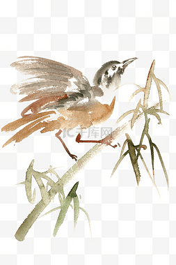 竹子小鸟图片_竹枝上的小鸟水彩画PNG免抠素材
