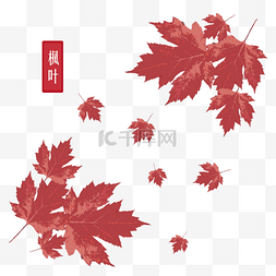 秋季手绘矢量树叶图片_立秋秋季枫叶png矢量图