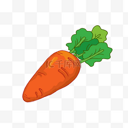 蔬菜免抠图元素5