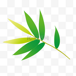 竹子竹叶生长绿色植物