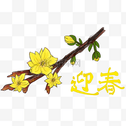 创意插画简约清新黄色迎春花PSD源