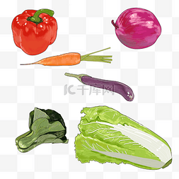 鼠绘蔬菜插图