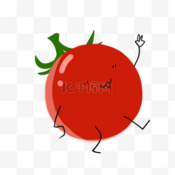 植物番茄图片_番茄西红柿