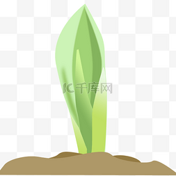 绿色植物发芽图片_绿色植物花卉发芽免抠图