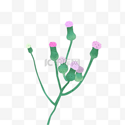 简约唯美风格图片_花朵花卉小物件植物绿色紫色
