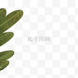 简易植物图片_绿色叶子植物免抠图