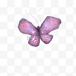 春天卡通装饰紫色蝴蝶