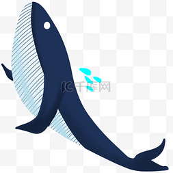 鲸鱼喷水卡通图片_海洋世界鲸鱼插画