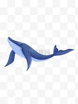蓝色鲸鱼图片_手绘卡通蓝色鲸鱼元素