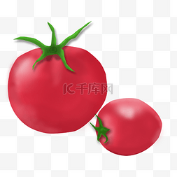 仿真蔬菜蕃茄西红柿