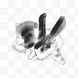 水墨兔子手绘