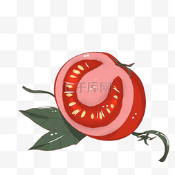 番茄卡通装饰培育西红柿