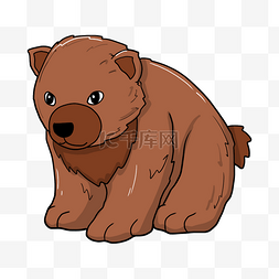 手绘棕色大熊插画