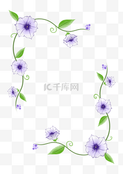 藤蔓和紫色牵牛花