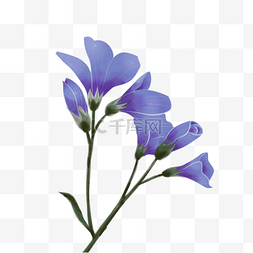 卡通手绘紫色的花图片_手绘紫色的花枝插画