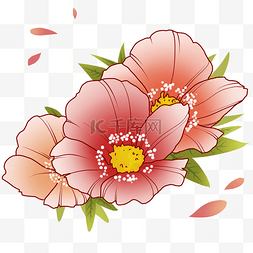 手绘漂亮的花朵插画
