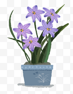 蓝紫色的兰花与盆子