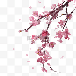 樱花粉色手绘花枝图片_中国风手绘意象繁密樱花