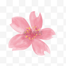 樱花花瓣png