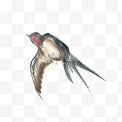 燕子的嘴巴图片_手绘红色的燕子插画