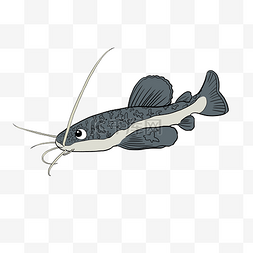 养殖场粪便图片_可爱卡通鱼类鲶鱼竞争力