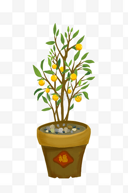 植物盆栽海报图片_春节贺新年简约风格金桔插图装饰