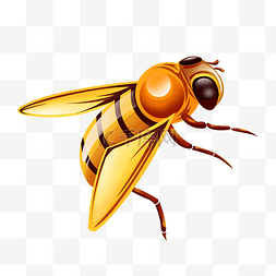 浅褐色矢量手绘蜜蜂