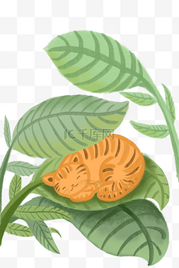 橘猫睡觉图片_手绘叶子猫咪免抠图