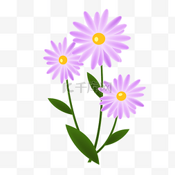 漂亮花朵花卉图片_紫色的花卉植物