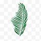 创意卡通绿色棕榈叶叶子图