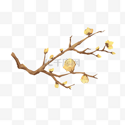 淡黄色春天的花枝